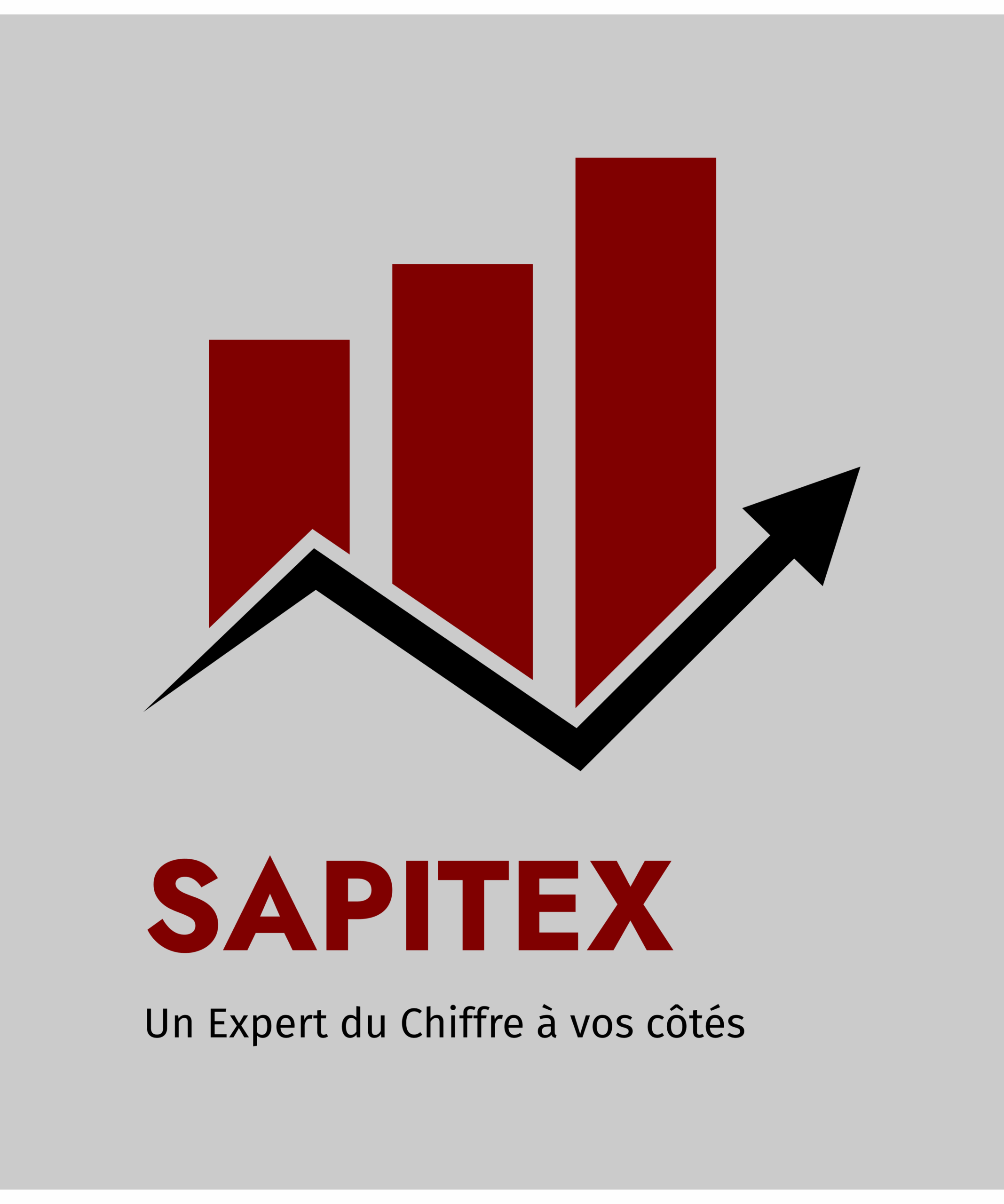logo5-png logo sapitex Paris